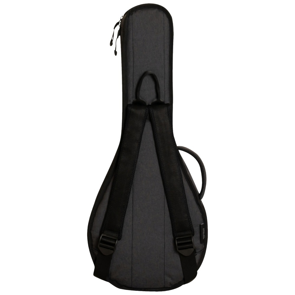  мандолина кейс Ritter RITTER RGD2?MA ANT DAVOS Flat Mandolin Flat мандолина для gig сумка мягкий чехол 