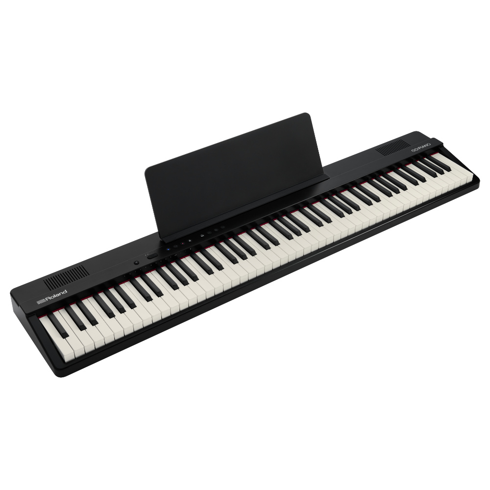 ROLAND Roland GO-88PX GO:PIANO88 Entry Keyboard Piano вход клавиатура фортепьяно 88 клавиатура foot переключатель комплект 