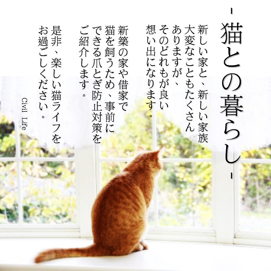 日本製 猫 爪とぎ防止 壁紙 50cm x 1.5m 猫の爪とぎ防止シート はがせる 半透明 ペット壁保護シート キズ汚れ防止シート 壁紙 送料無料