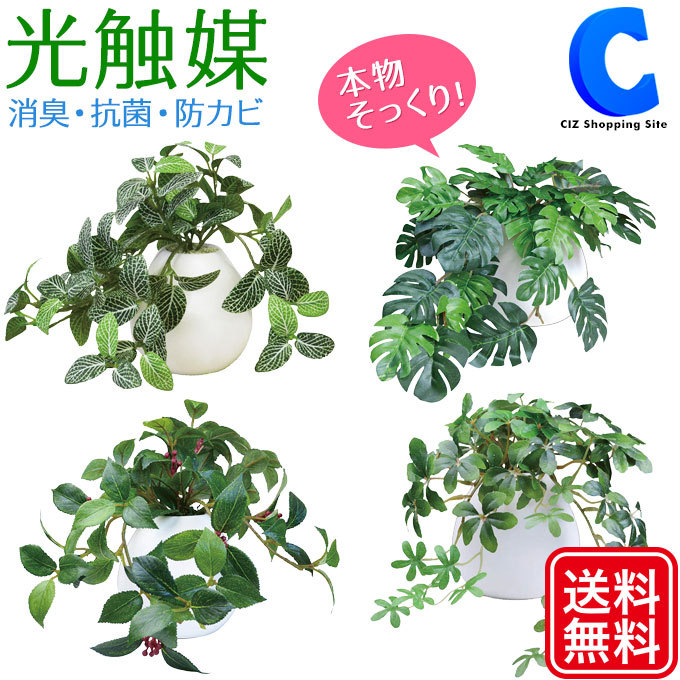  фотокаталитический декоративное растение искусственная зелень модный интерьер MR pot 