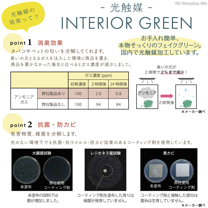  photocatalyst decorative plant fake green stylish interior MR pot 