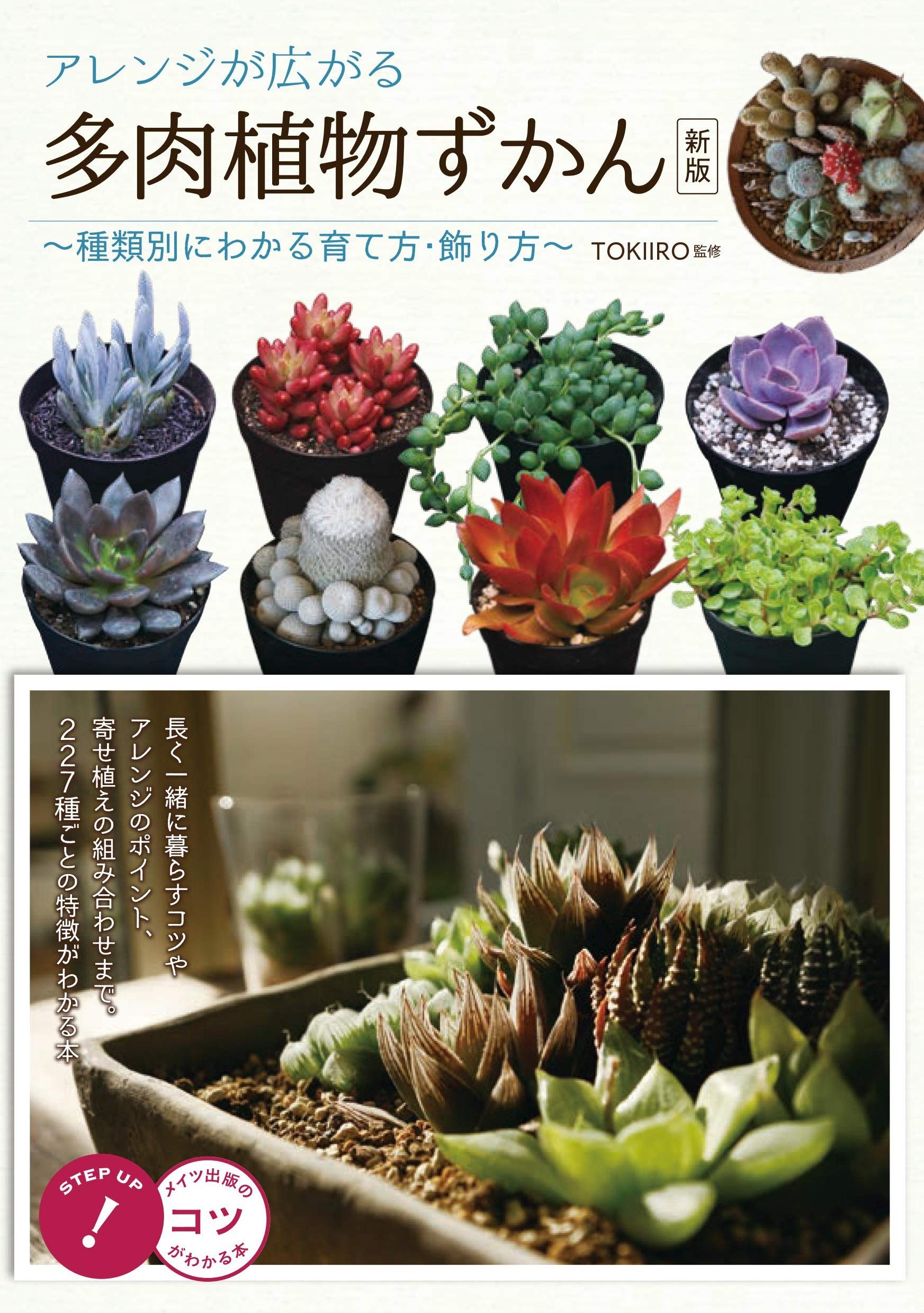  arrange . spread succulent plant ...~ kind another . understand .. person * decoration person ~ new version (kotsu. understand book@!)