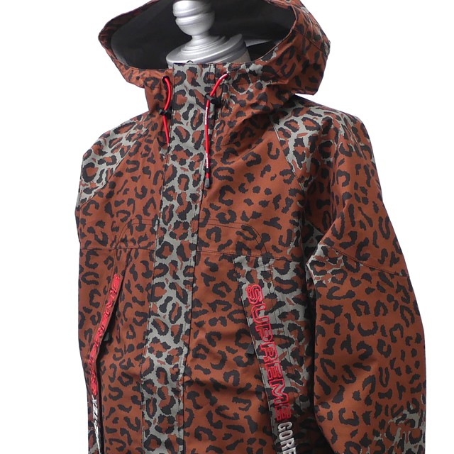 GORE-TEX Taped Seam Jacket （Leopard） 19fw