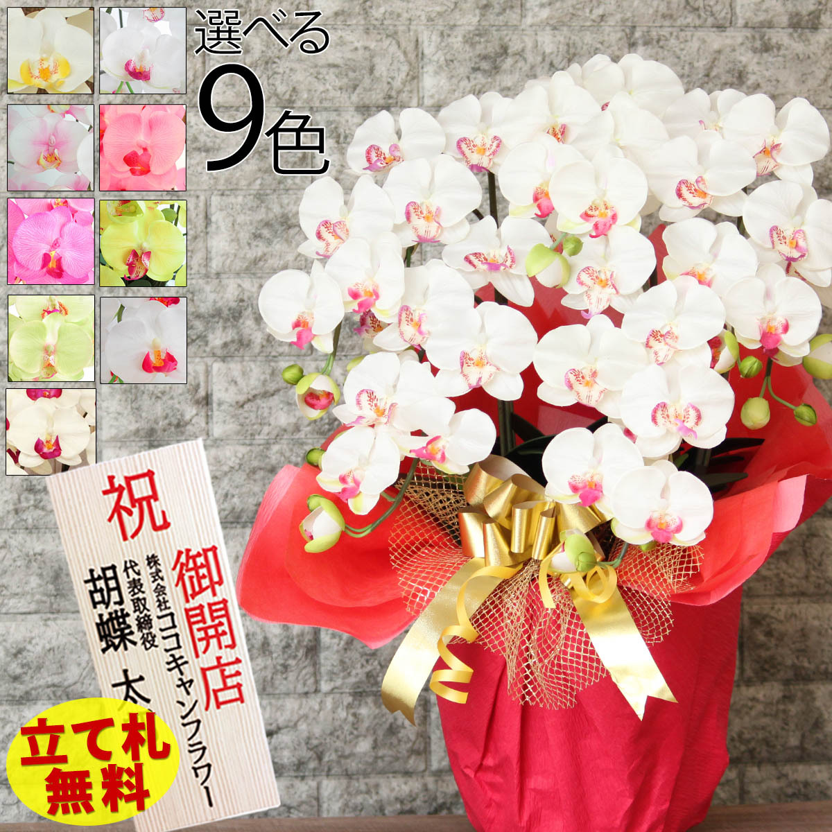  Mother's Day . butterfly orchid artificial flower photocatalyst opening festival .5ps.@. white free shipping celebration birthday large wheel opening present year-end gift gift kochou Ran here can flower 