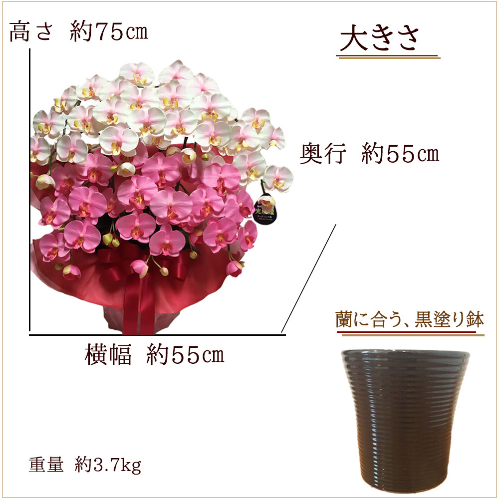 Mother's Day . butterfly orchid artificial flower photocatalyst opening festival .7ps.@. white pink Mix celebration birthday large wheel length . present year-end gift gift kochou Ran here can 