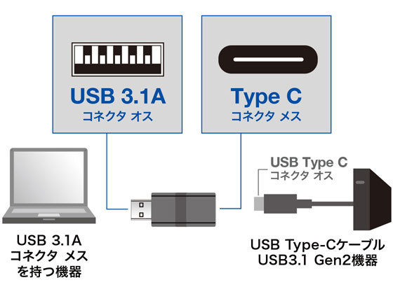 [ ваш заказ ] Sanwa Supply USB3.1A-USBType C женский изменение адаптер AD-USB29CFA