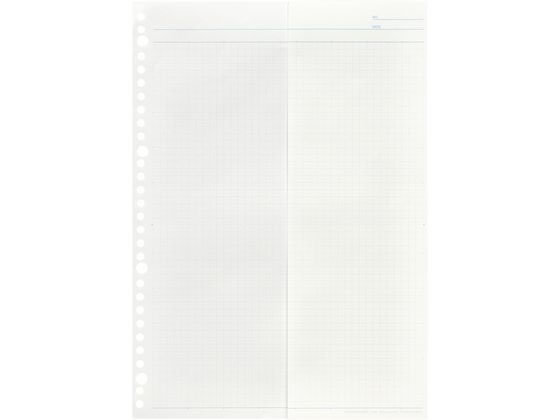  Maruman документ .... Roo z leaf широкий A4(A3) person глаз .L1197