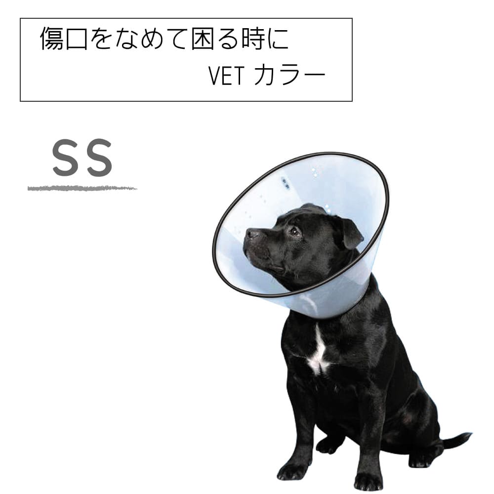 ファンタジーワールド VETカラー SS クリア VC-1の商品画像