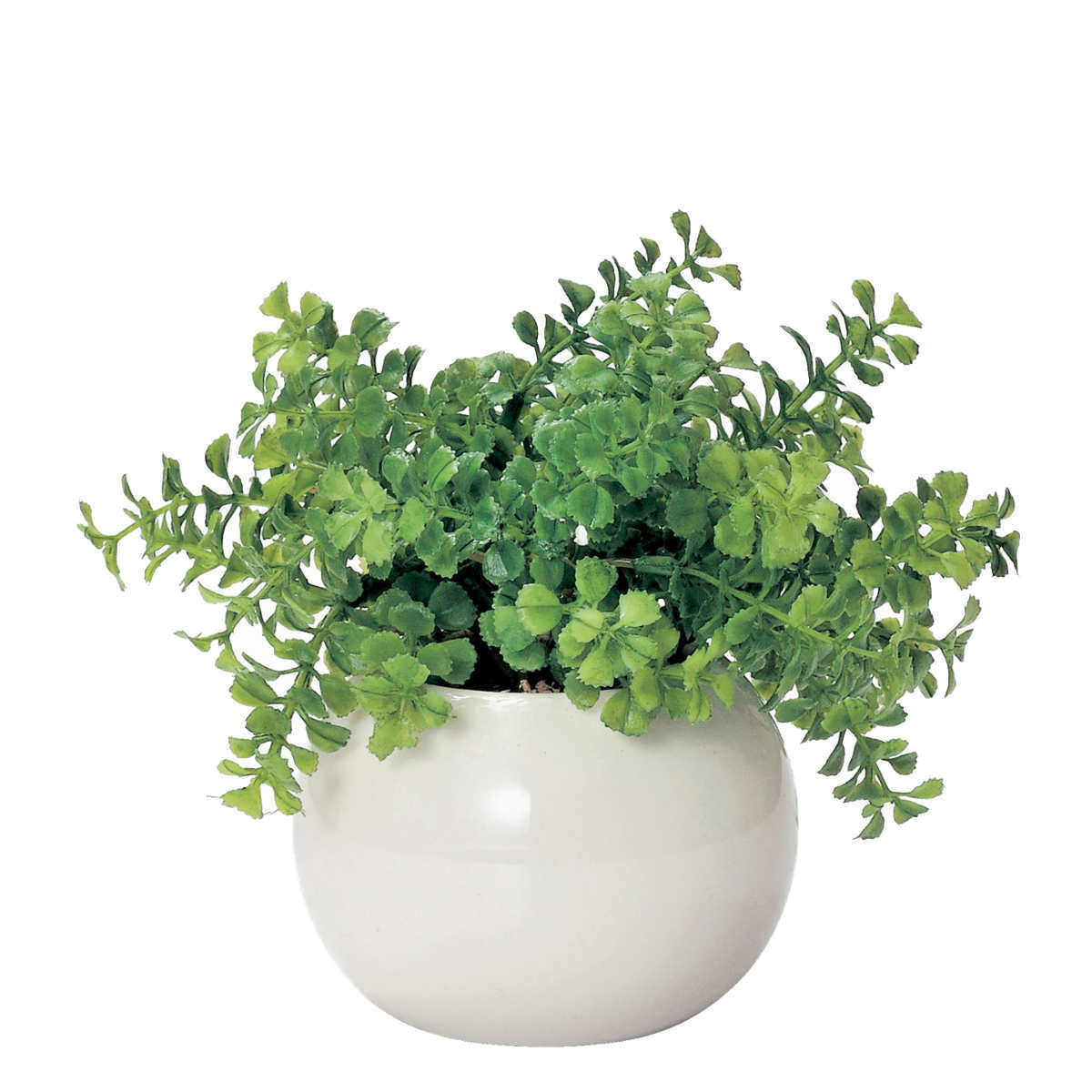  fake green round pot desk ( Mini pot human work decorative plant photocatalyst pot pot artificial flower interior real )