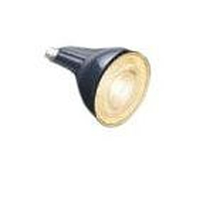 コイズミ照明 ダイクロイックハロゲン球形LEDランプ 中角 AE49741L LDR5L-M-E11/K （電球色） LED電球、LED蛍光灯の商品画像