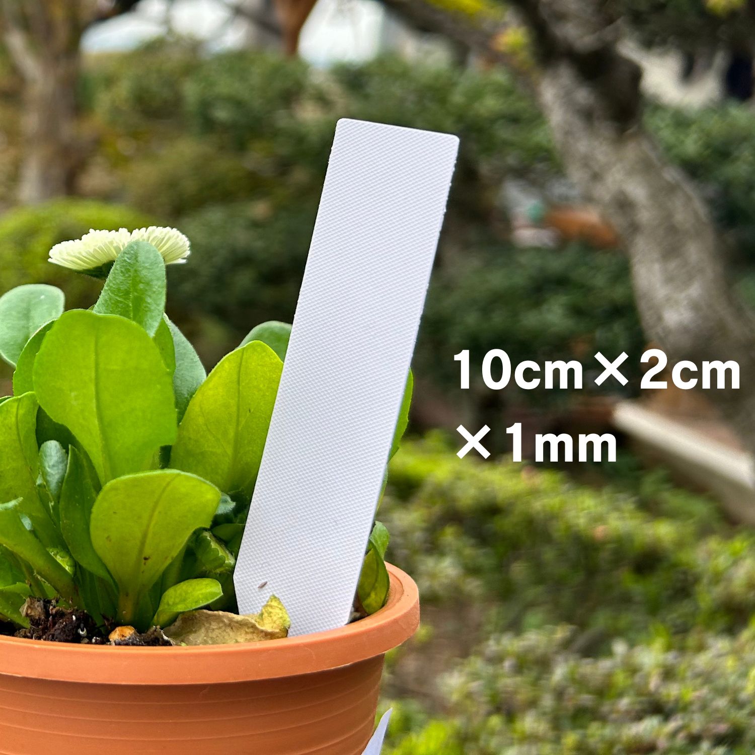 haoa 100 sheets plant label kitchen garden waterproof gardening for label gardening label bonsai label flower label pretty seedling tag plant. control tag white M size 2cm*10cm