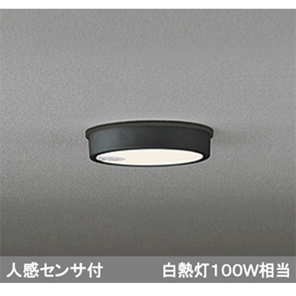 電球色 / ブラック