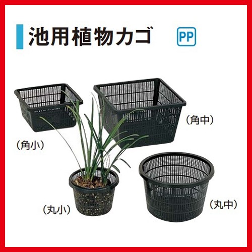 . for plant basket circle middle [IB-21] diameter 210×130mm cash on delivery un- possible taka show Takasho juridical person sama limited commodity 