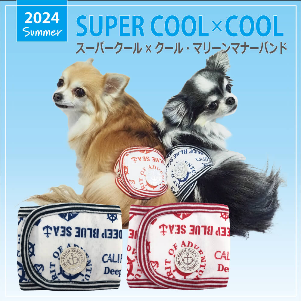 2024 summer thing new work manner band [ super cool × cool * marine manner band ](2 color )7310[ dog manner band ][SS from 3L][ made in Japan ]
