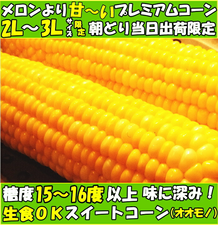  corn . middle origin raw meal OK.. thing sweet corn Kagawa 2L~3L 10-1 1 pcs sugar times Bon Festival gift Father's day present 