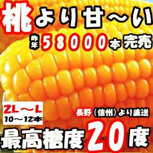 45 десять тысяч книга@ прорыв персик .... кукуруза A товар 2L~L 10~1 2 шт сырой . еда ... префектура вне не ... утро .. тест Nagano . средний изначальный 