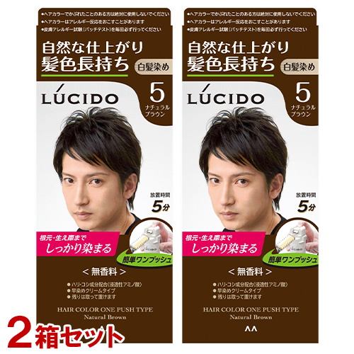 LUCIDO ワンプッシュケアカラー（ナチュラルブラウン）×2個 ヘアカラーリングの商品画像