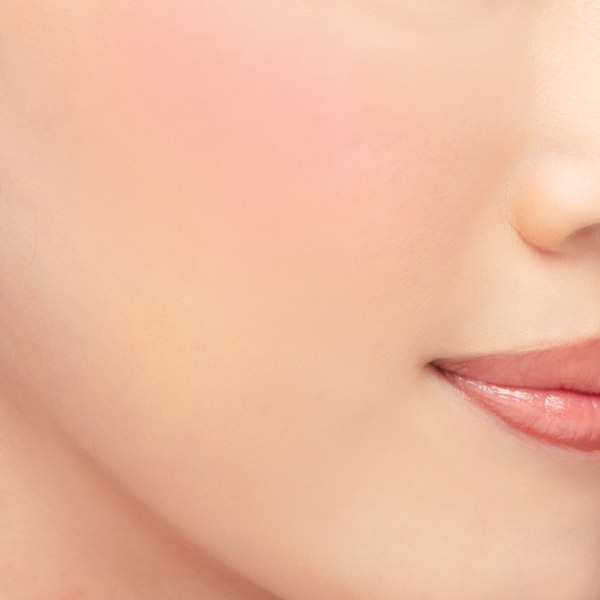 Chacott COSMETICS( коричневый раскладушка * cosme tiks) многоцветный варьирование vivid (VV12)