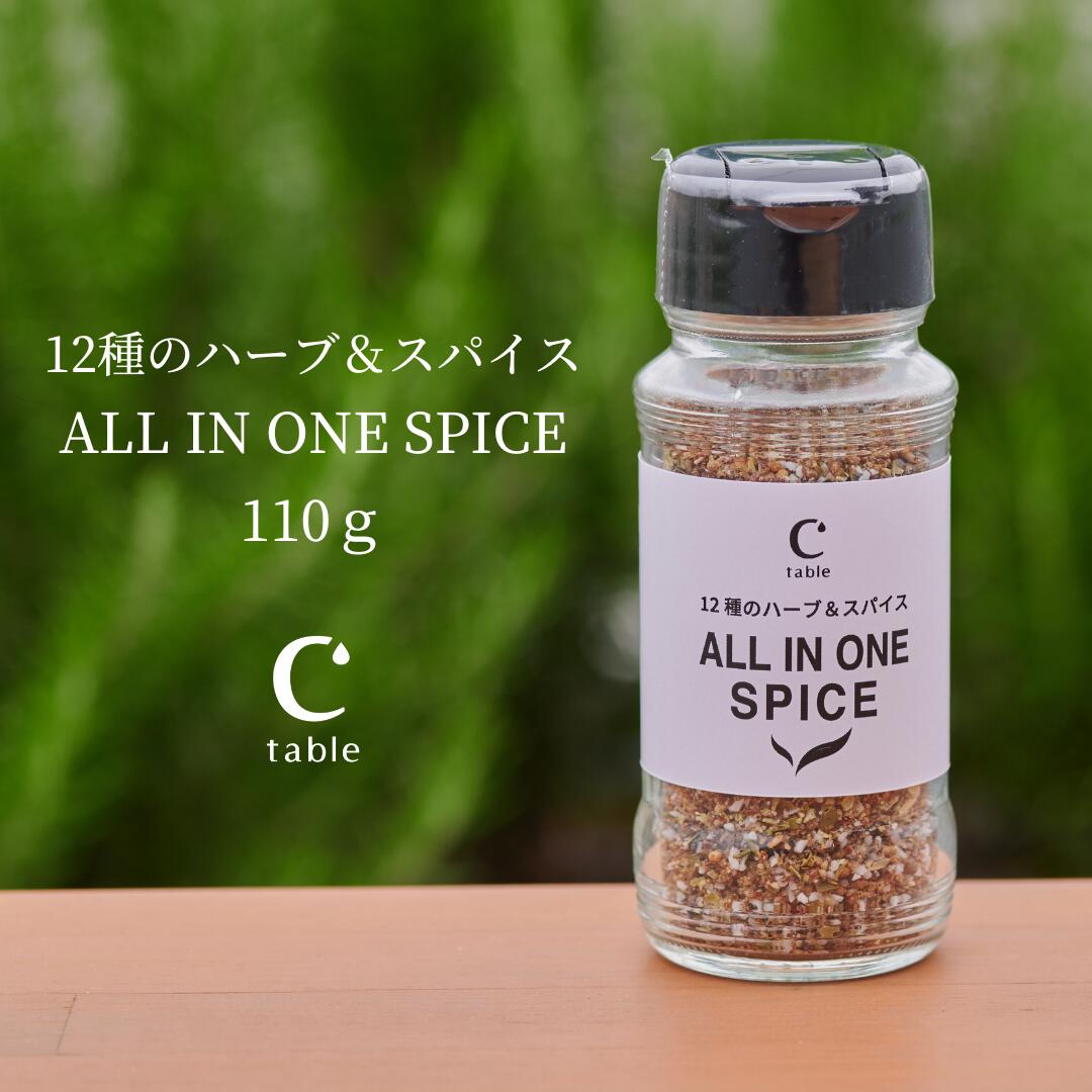 12 вид. трава & специя ALL IN ONE SPICE 110g уличный специя универсальный Mix специя приправа BBQ барбекю 