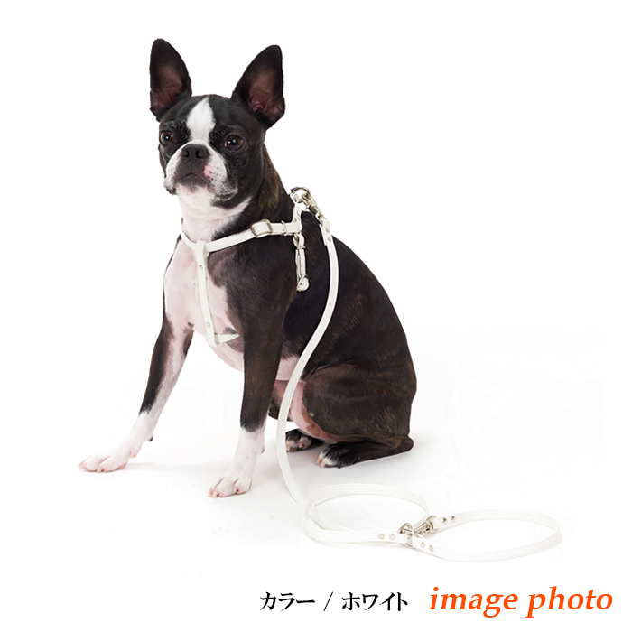  Harness собака модный страховочный ремень маленький размер собака простой кожа Harness 10mm ширина + Lead есть S размер 