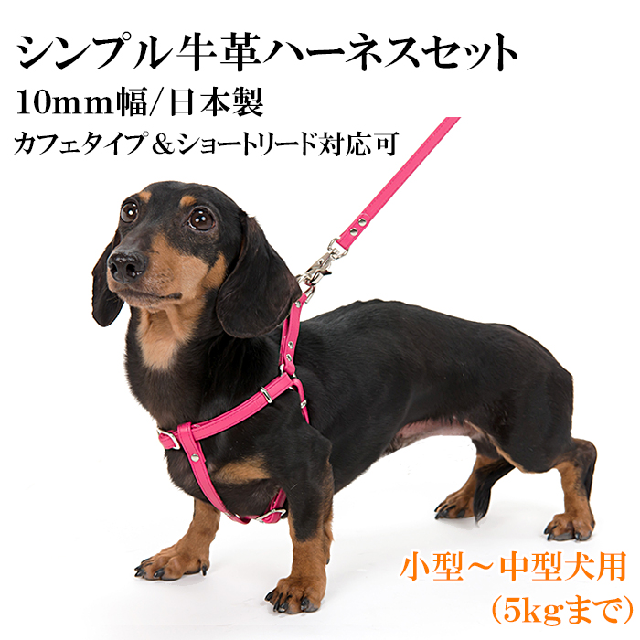  Harness собака модный страховочный ремень маленький размер собака простой кожа Harness 10mm ширина + Lead есть S размер 