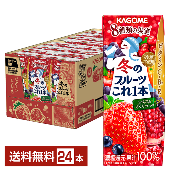 冬のフルーツこれ一本 ざくろ＆いちごブレンド 紙パック 200ml×24の商品画像