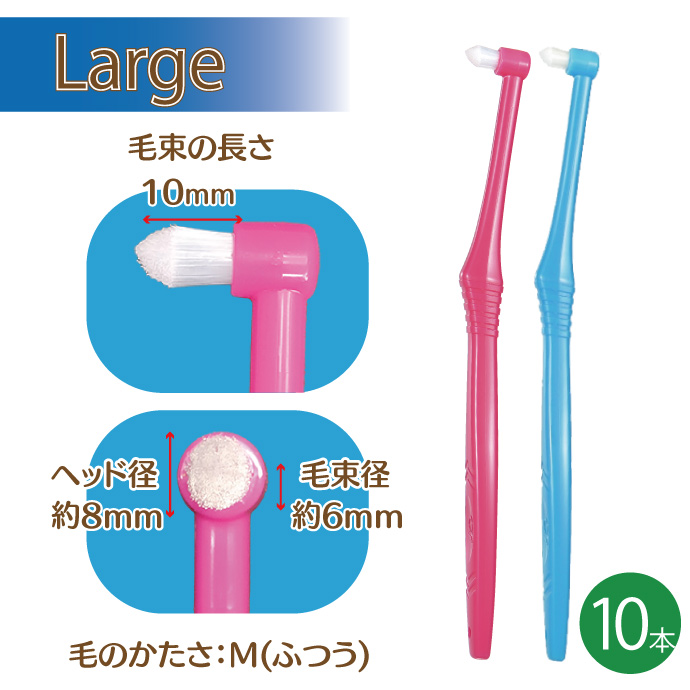  toothbrush CiPRO one tough to Large head M...10 pcs set ( mail service 4 point till )