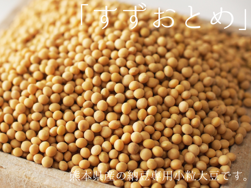  ферментированные бобы для маленький шарик большой бобы 5kg местного производства .....szotome Kumamoto префектура производство не ... пересортировка 