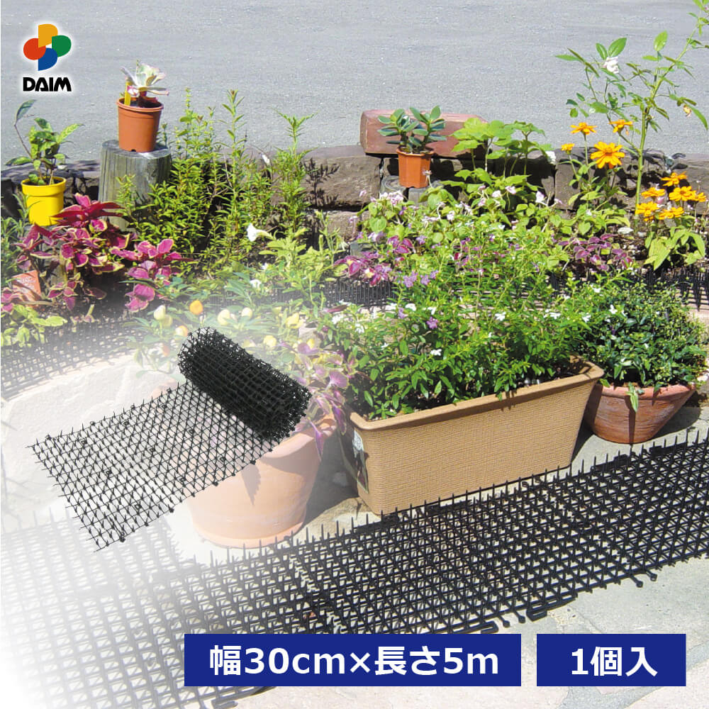 daim защита от кошек здесь dame сиденье ширина 30cm 5m шт здесь .. сиденье защита от кошек меры защита от кошек кошка исключая . сиденье двор цветок . посадочная машина .. поле наружный . хорошо кошка Nora кошка первый винил 