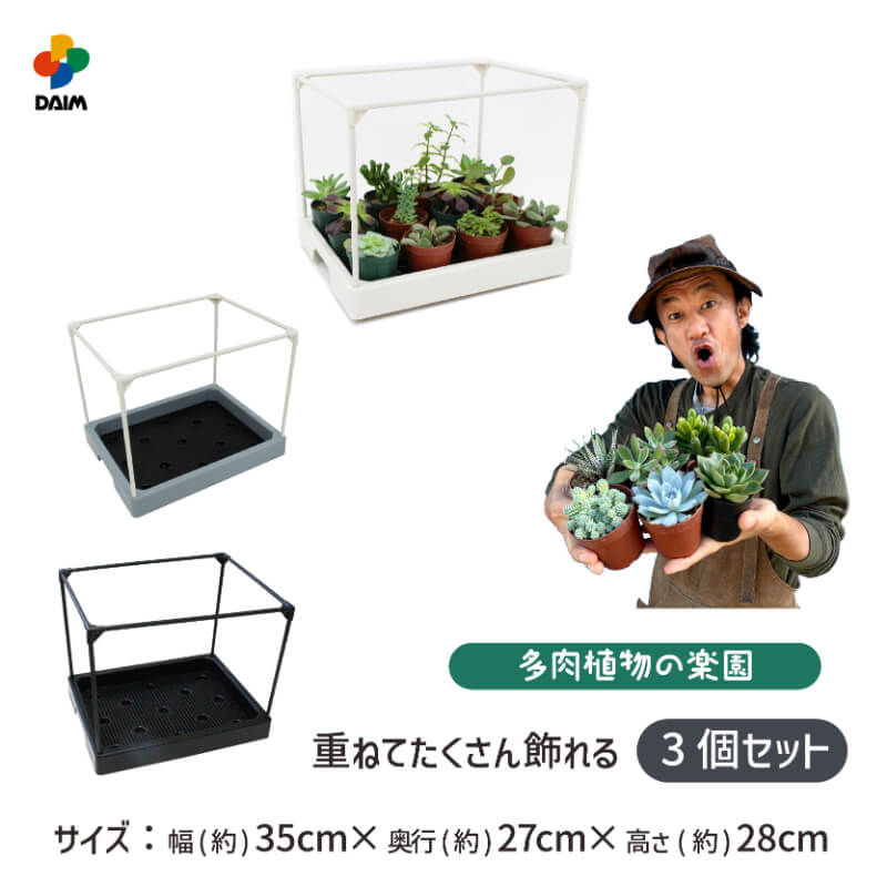 [ car men .×daim collaboration ]daim many meat apartment house width 35cm× depth 27cm× height 28cm 3 set entering gardening succulent plant decorative plant winter come .... shelves seedling interior greenhouse house 