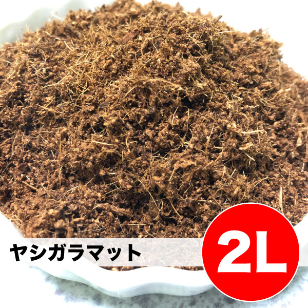  самый дешевый пробовать cocos nucifera gala cocos nucifera gala коврик [2L] рептилии земноводные мелкие животные насекомое покрытие пола кровать материал мелкий нежный Husq pa-m коврик ящерица игуана бесплатная доставка [DBP]
