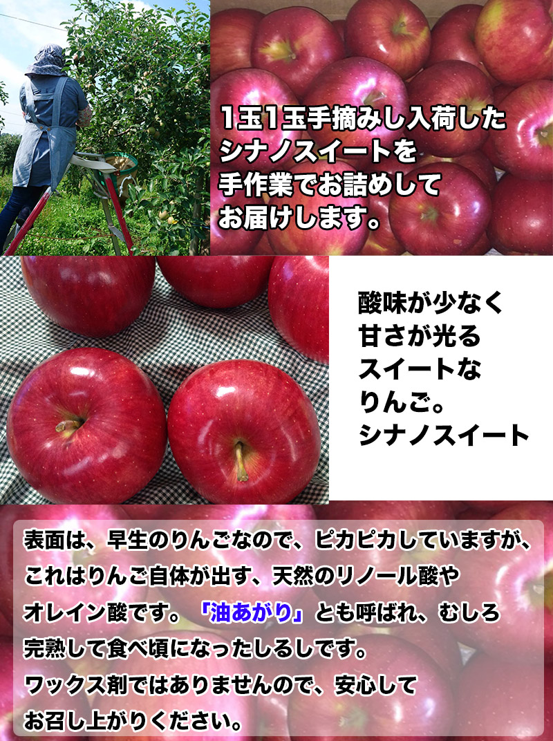  apple 5kg. home use Aomori prefecture production si nano sweet 5kg free shipping apple 5Kg. home use trial si nano sweet Aomori raw meal for SDGS