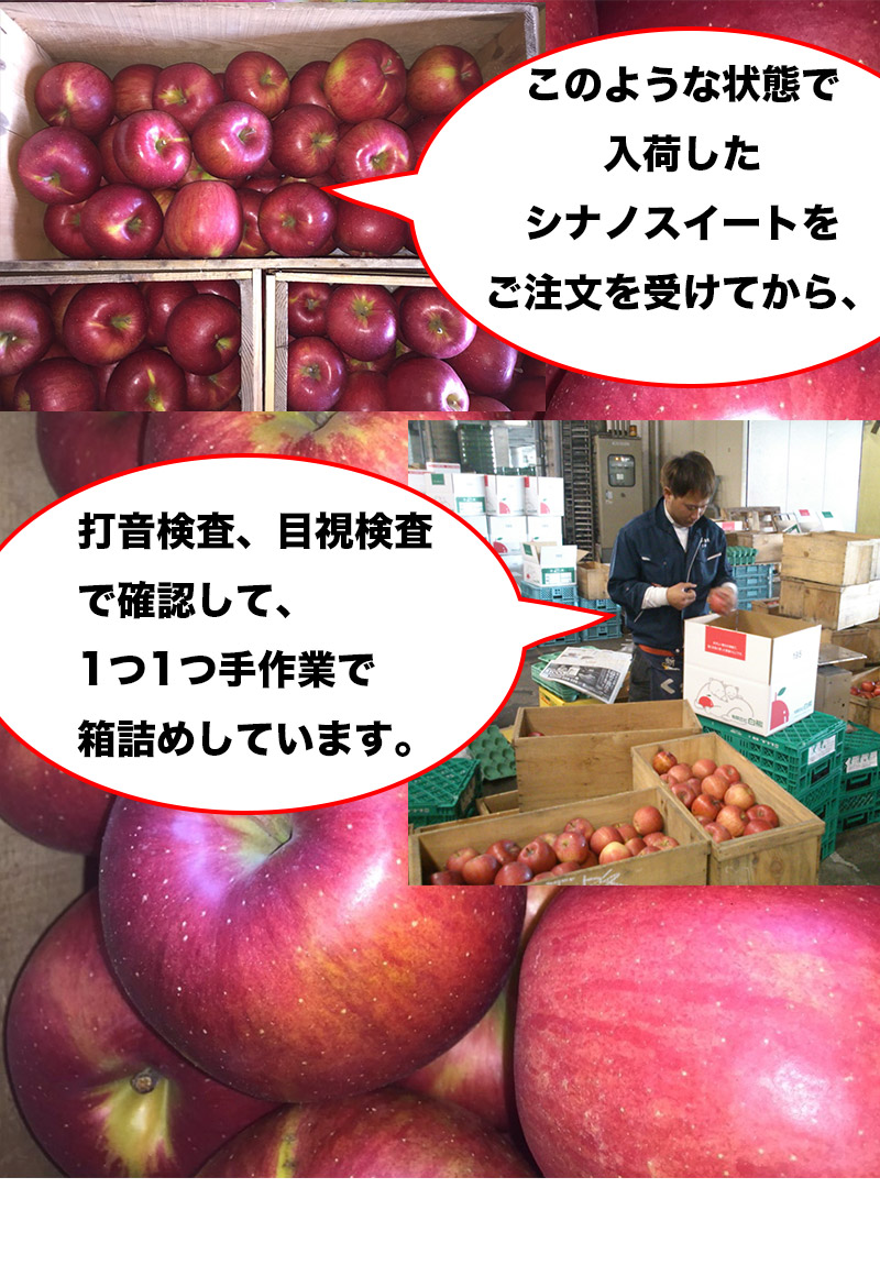  apple 5kg. home use Aomori prefecture production si nano sweet 5kg free shipping apple 5Kg. home use trial si nano sweet Aomori raw meal for SDGS