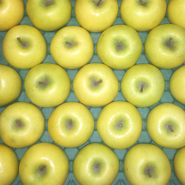  apple with translation 10kg Aomori prefecture si nano Gold 10kg free shipping apple 10kgsi nano Gold . home use sugar times guarantee our shop. apple is sugar times guarantee every day. health therefore .