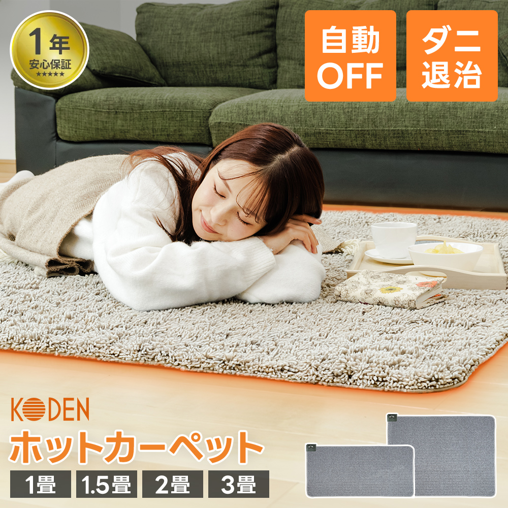 Panasonic パナソニック DC-2JN ホットカーペット2畳相当/本体のみ