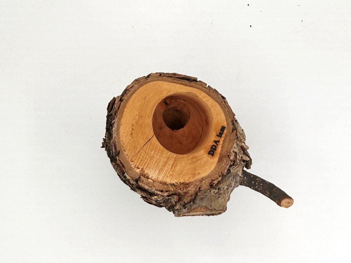 new craft wood (M) 2311241411 dda stag beetle rhinoceros beetle perch .. tree 