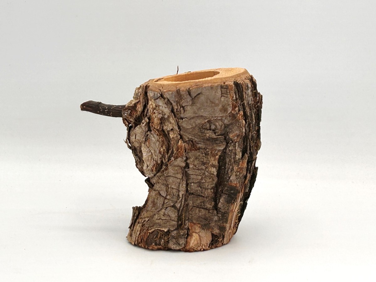 new craft wood (M) 2311241411 dda stag beetle rhinoceros beetle perch .. tree 
