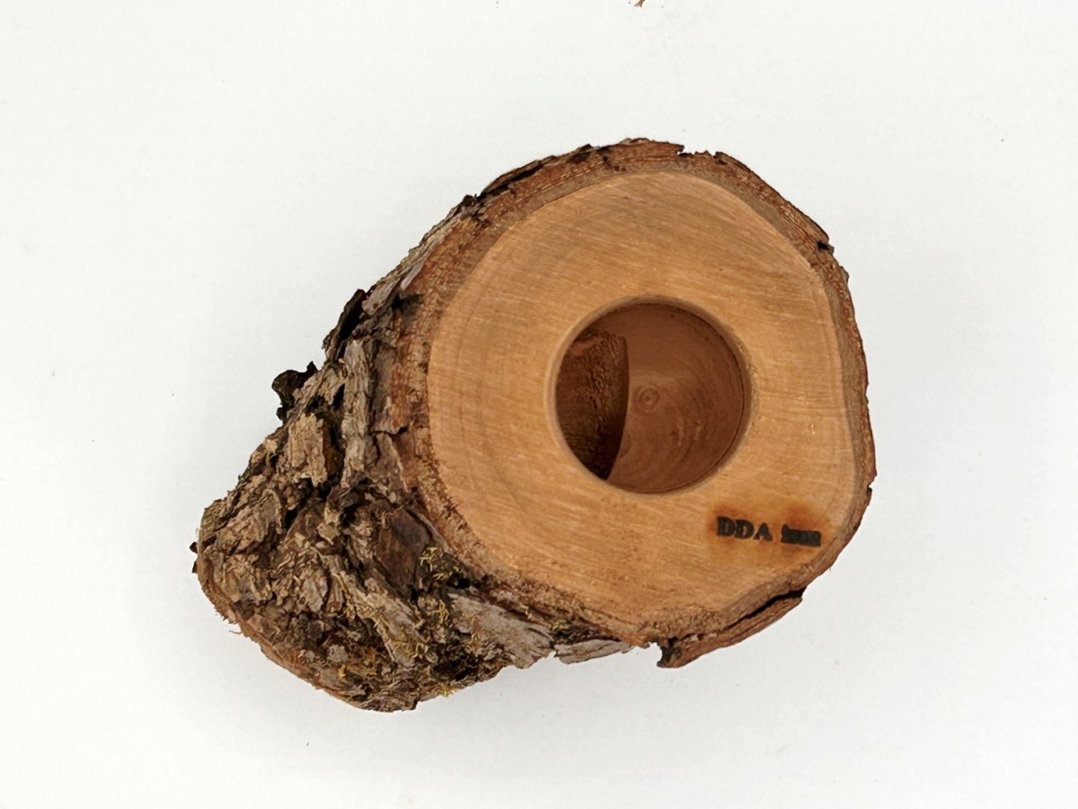 new craft wood (M) 2402171645 dda stag beetle rhinoceros beetle perch .. tree 