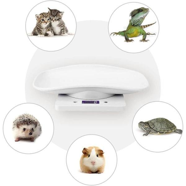  pet scales digital pet pet scale amphibia for reptiles . turtle scales small size precise hamster small size dog / cat /... etc. for battery type nursing . dog . cat 10kg