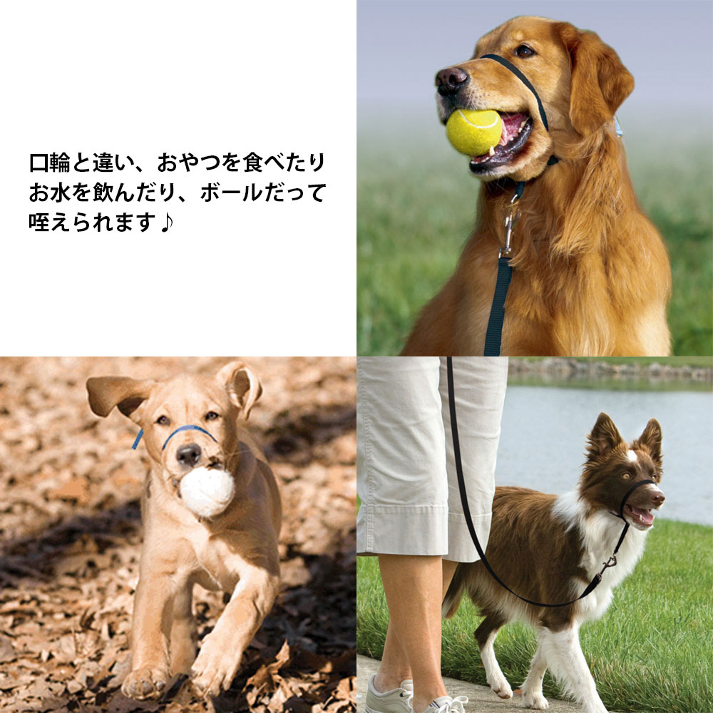  тренировка jentoru Leader head цвет PetSafe домашнее животное safe S M L размер импортный товар premium .. обивка предотвращение 
