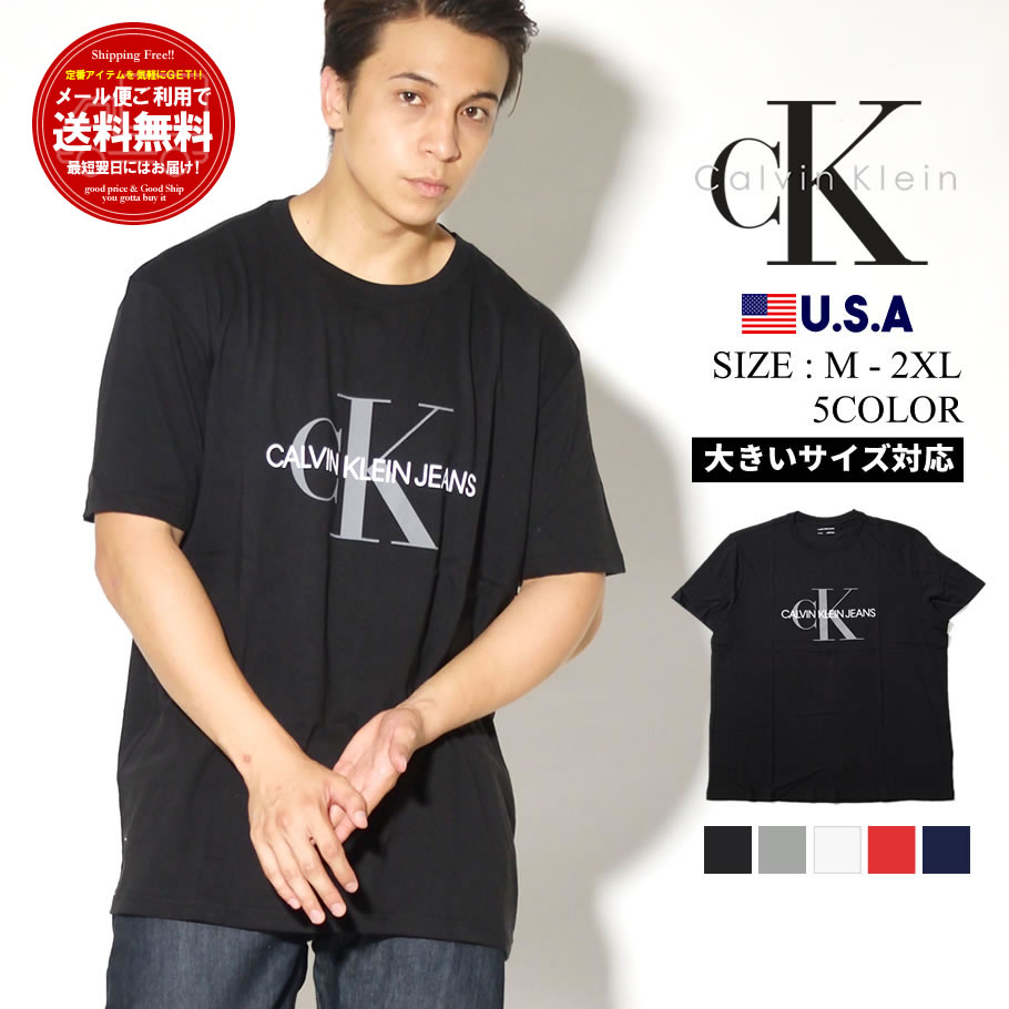 （訳ありセール格安）カルバンクライン Calvin Klein Tシャツ　L 完売品