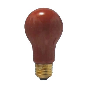 旭光電機工業 一般球カラー セラミック PS55 レッド E26 PS55E26110V40WR 白熱電球の商品画像