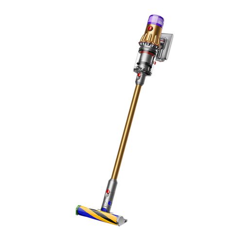 Dyson Dyson V12 Detect Slim Fluffy SV20 FF EX 掃除機 - 最安値