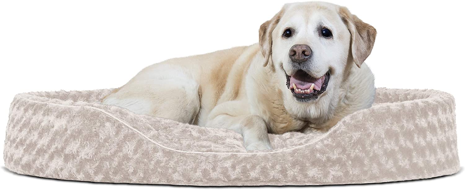 Furhaven Pet Bed for Dogs and Cats - Ultra Plush Curly Fur Oval Cuddler Dog Bed with Removable Washable Cover and Pillow Cushion Cream Jumbo (XX-