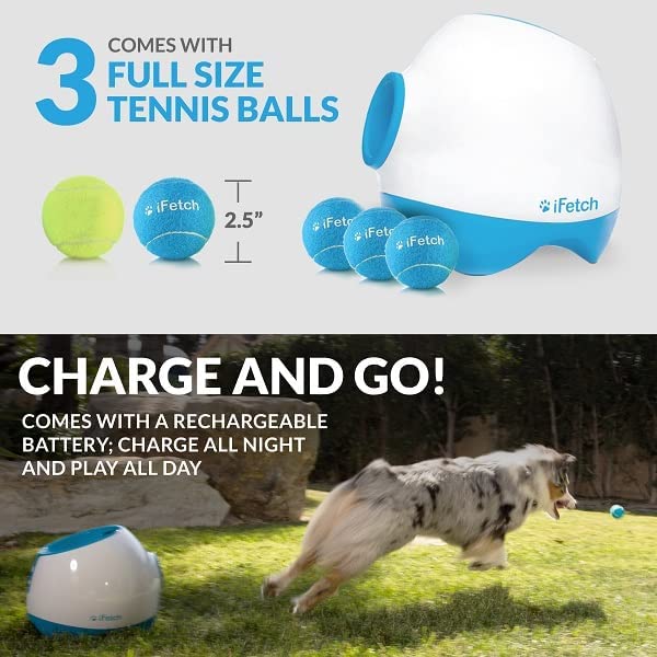 iFetch Too Inter активный мяч Lancia - собака для - стандарт теннис мяч [ параллель импортные товары ] параллель импортные товары 