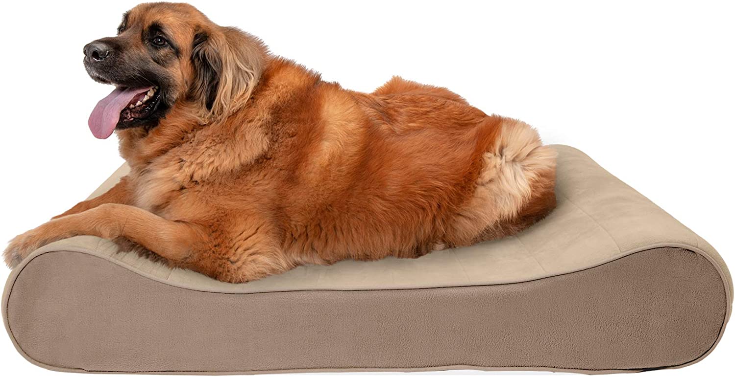 Furhaven XXL Orthopedic Dog Bed Microvelvet Luxe Lounger w/ Removable Washable Cover - Clay Jumbo Plus (XX-Large) parallel imported goods 