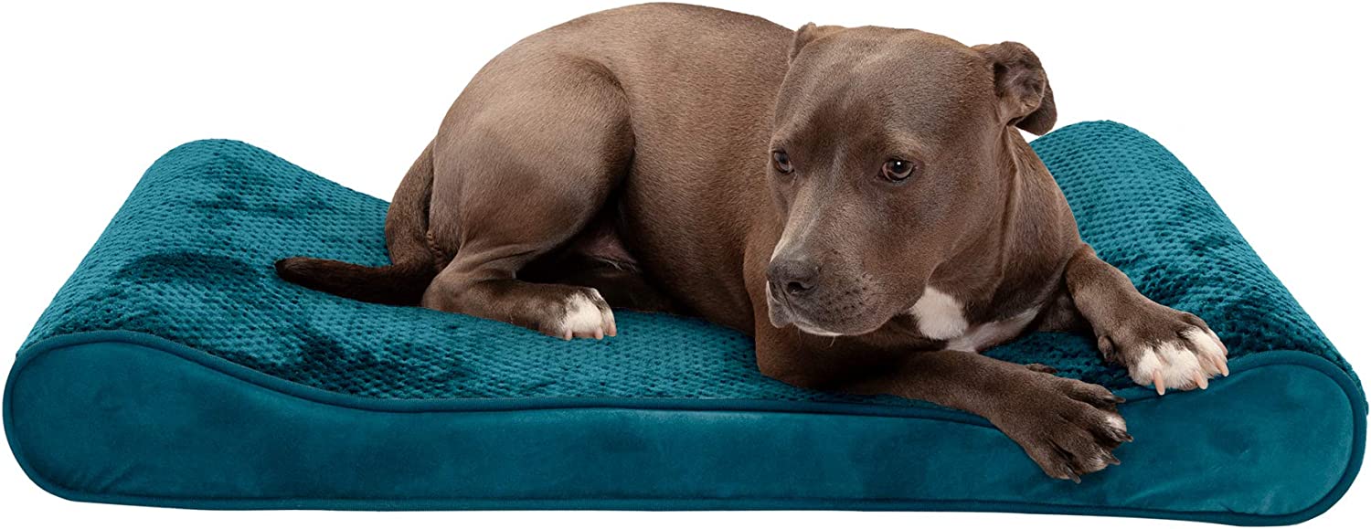 Furhaven Large Cooling Gel Foam Dog Bed Minky Plush &amp; Velvet Luxe Lounger w/ Removable Washable Cover - Spruce Blue Large parallel imported goods 