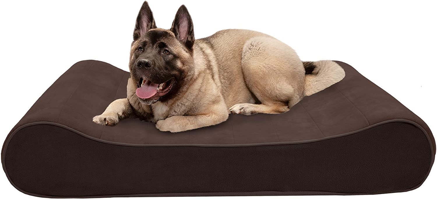 Furhaven XXL Memory Foam Dog Bed Microvelvet Luxe Lounger w/ Removable Washable Cover - Espresso Jumbo Plus (XX-Large) parallel imported goods 