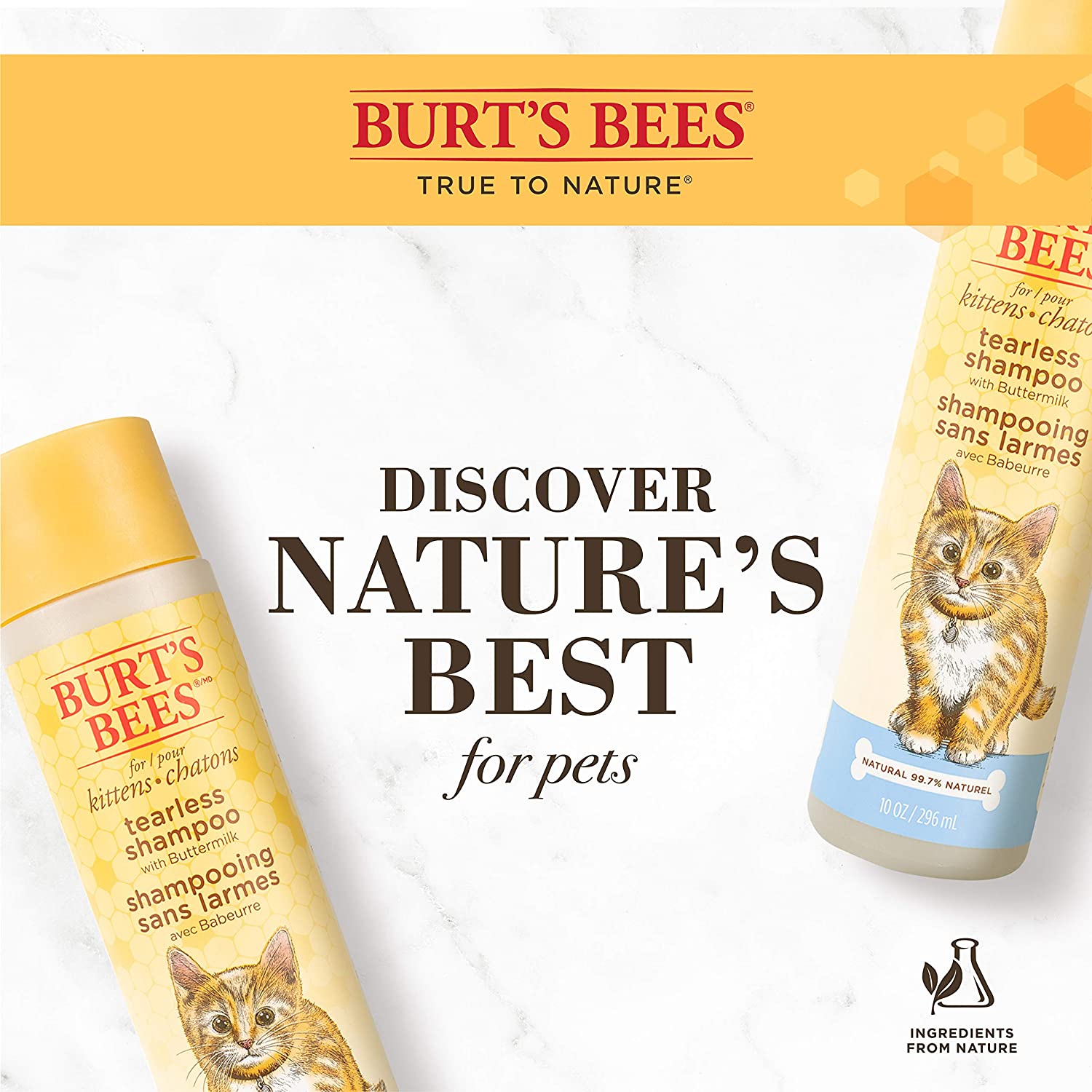 Burt's Bees for Kittens Natural Tearless Shampoo with Buttermilk | Cat Sham