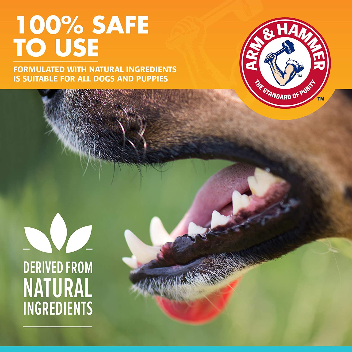 Arm &amp; Hammer for Pets Dental Enzymatic Toothpaste for Dogs | No More Doggie Breath | Dog Toothpaste